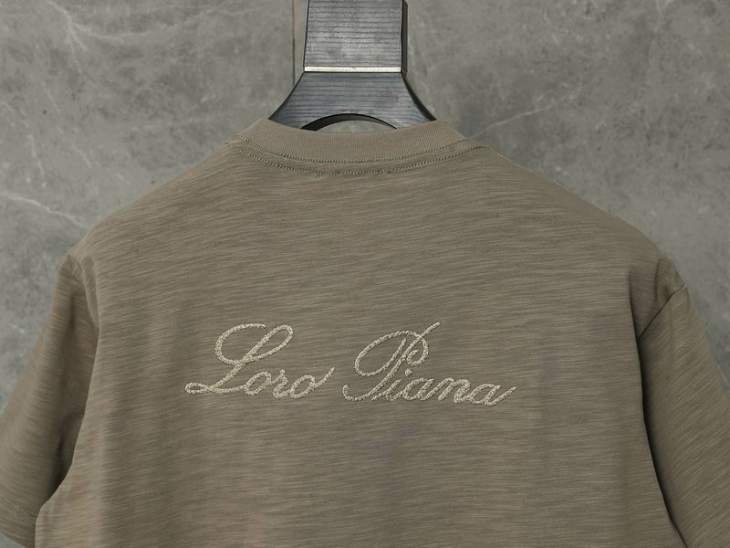 Loro Piana T Shirts Short _SKULoroPianaM-2XLaztxQ748737